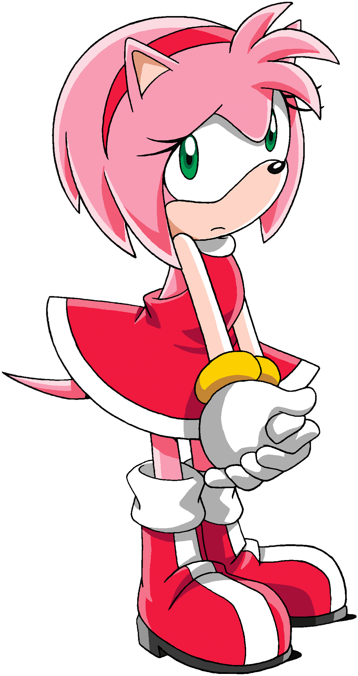 Amy the Hedgehog, Sonic Pokémon Wiki