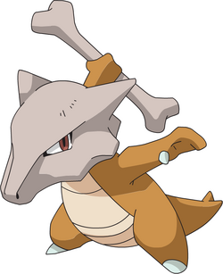 Image Via Pokémon Wiki - Pokemon Bone - Free Transparent PNG