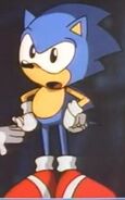 Young Sonic