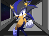 Seelkadoom the Hedgehog