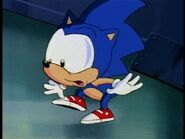 Young Sonic