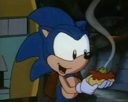 Sonic, enjoying a chili dog.