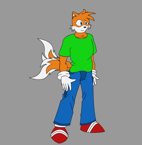 Miles Tails Prower The 2 Tailed Fox Sonic Jr The Hedgehog Next Generations Sonicseries 4575