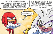 SFDC-Knuckles-Silver.jpg