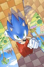 IDW Sonic 1 Img Cvr.jpg