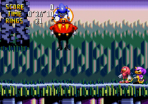 640px-Knuckles and Espio Seeing Eggman escape