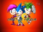 SonicLeRebelle16