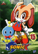 Boîtier du DVD 15 de Sonic X.