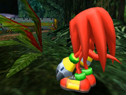 Knuckles following Gamma