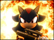 Shadow-shadow-the-hedgehog-6393017-640-480