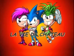 SonicLeRebelle15