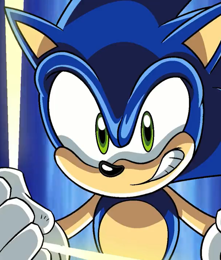 Sonic the Hedgehog, Sonic X Wikia