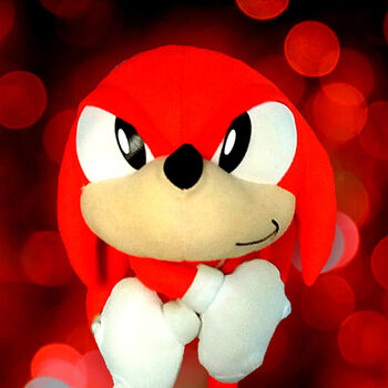 Knuckles The Echidna