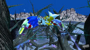 Sonic free riders