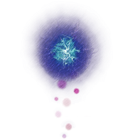 Will o Wisp.png