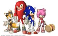 Amy mit Team Sonic