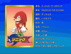 pic Sonic X Knuckles Screenshots knuckles the echidna sonic x