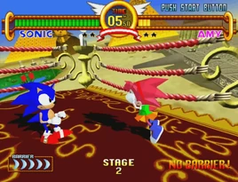 SonictheFighters FlyingCarpet