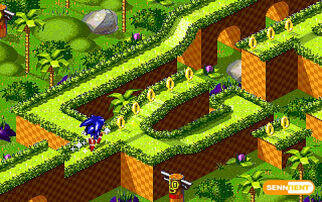Sonic 16 picture