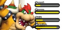 Bowser-stats