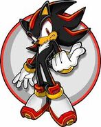 Shadow aus Sonic Channel