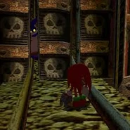 Cameo-Auftritt von Big the Cat