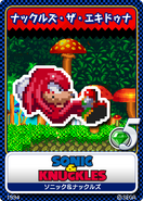 13 Knuckles the Echidna