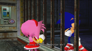 Sonic mit Amy auf Prison Island