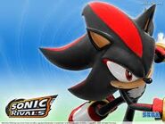 Sonic rivals - Der absolute Gewinner 