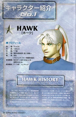 Sonic Wings Assault Official Guidebook | Sonic Wings Wiki | Fandom