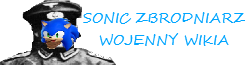 Sonic Zbrodniarz Wojenny Wikia