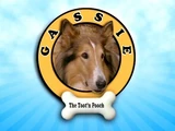 Gassie the Toot'n Pooch