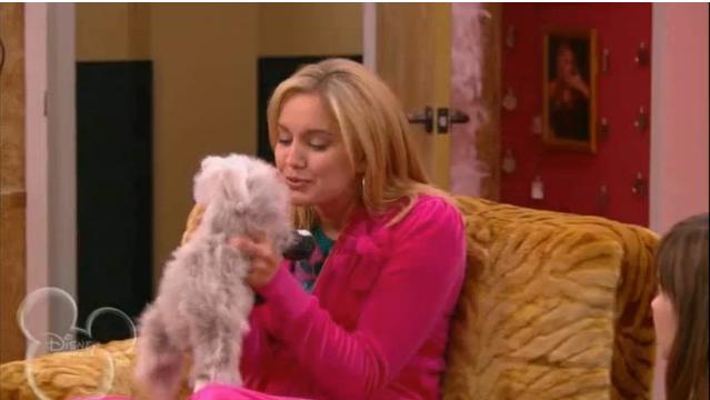 Puddy Two Shoes Sonny With a Chance Wiki Fandom