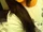 Demetria Lovato/ask me something!
