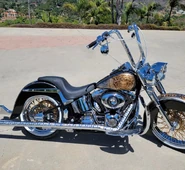 JDPardobike.jpg (271 KB) JD Pardo's personally owned Mayans themed Harley Davidson