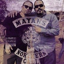 Mayans instagram image sutter