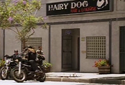 Hairy Dog Lounge