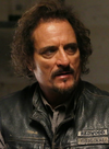 Tig_Trager