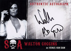 walton goggins venus breasts