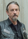 Chibs 705
