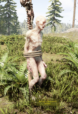 Sons of the Forest to improve AI companions, and possibly add new mode of  transport