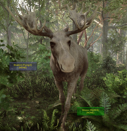 Sons of the Forest to improve AI companions, and possibly add new