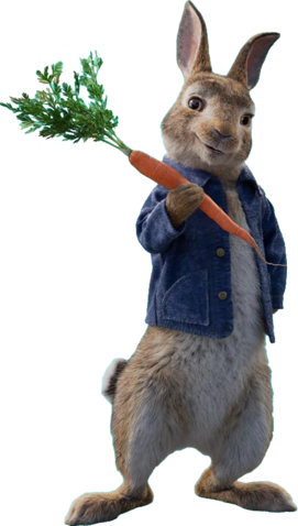 Peter Rabbit / Characters - TV Tropes