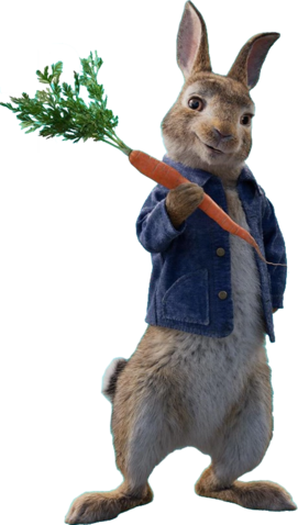 PETER RABBIT 2™  Sony Pictures Entertainment