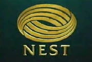 Nest Rich Logo