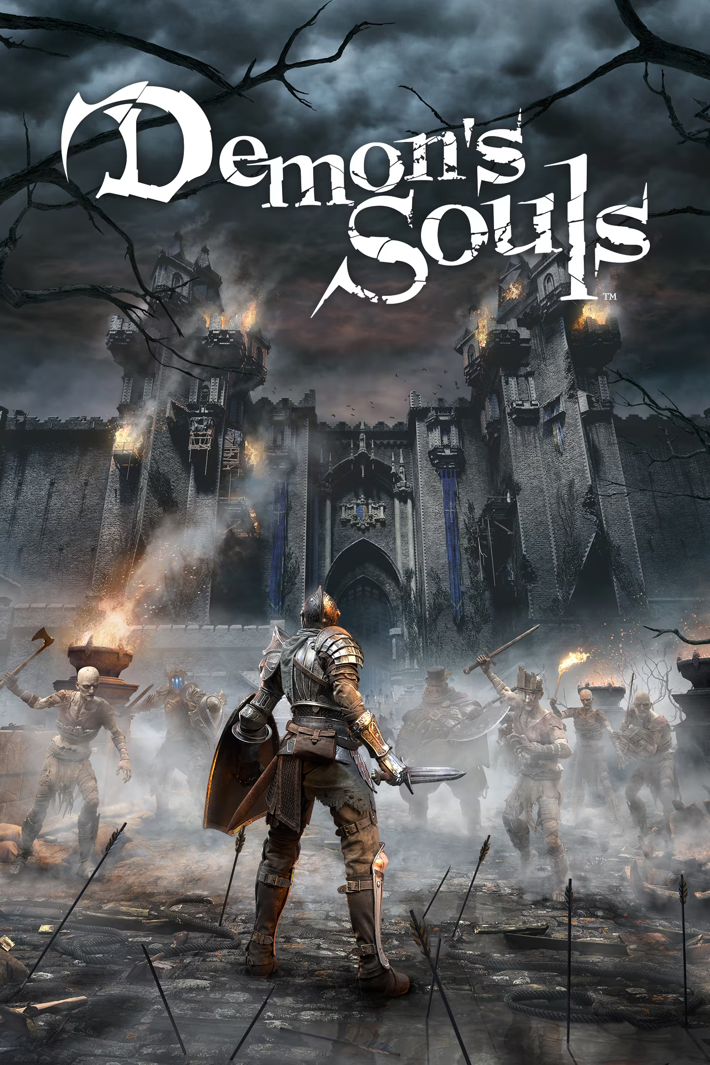 Controls  Demons Souls Wiki