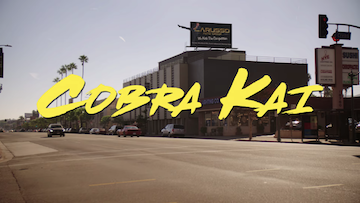 Cobra Kai On Netflix Cast Guide: Mary Mouser, Annalisa Cochrane