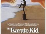 The Karate Kid (franchise)