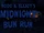 Boog and Elliot's Midnight Bun Run