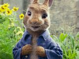 Peter Rabbit
